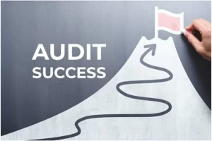 digital audit 2